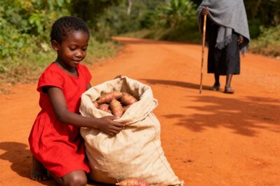 Sua madrasta a obrigava a carregar sacos de mandioca maiores do que ela, até que uma velha estranha apareceu.