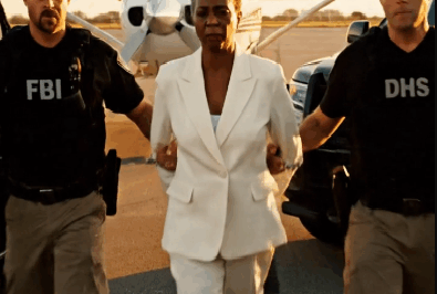 They Handcuffed A ‘Retired’ Grandmother For Flying A Cessna Like A Fighter Jet, Claiming She Was A Threat To National Security. But When The Courtroom Doors Swung Open And A Four-Star Admiral Walked In, The Judge Dropped His Gavel In Shock. The Secret She Was Hiding Changed Everything.