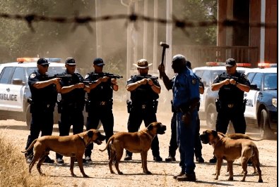 The Sheriff Thought He Could Bully An Old Black Veteran Off His Land. He Forgot One Thing: My “Security System” Has Four Legs And A Bite Force Of 743 PSI.