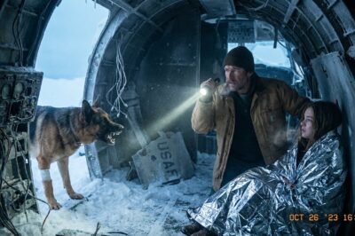 I Found My Brother’s Plane Buried in the Ice of Montana 40 Years Later, and I Wasn’t Alone