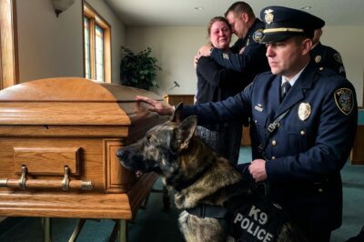My heart stopped in Chicago when the K9 began clawing at the casket during the final salute.