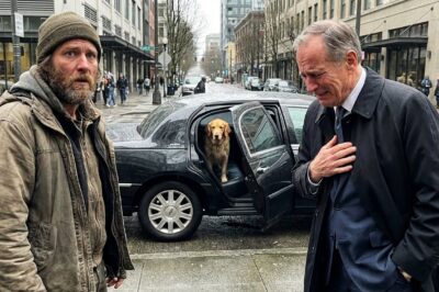 I was an invisible homeless man starving on the streets of Seattle until I heard a cry that changed my fate. I risked my life on a cliff for a stranger’s dog and vanished, but 24 hours later, a billionaire tracked me down to change my life forever.
