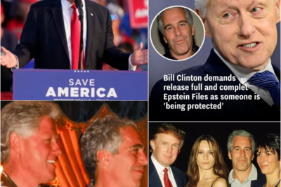 Clinton Spokesperson Demands Full Release of Epstein Documents, Alleging “Selective” Disclosure Protects Unknown Figures