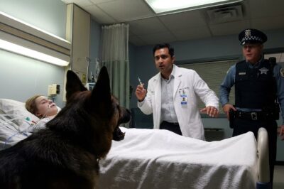 My German Shepherd blocked the doctor from touching my sister in a Chicago hospital room, and when we saw what was in the syringe, the police officers immediately drew their w*apons on the medical staff!