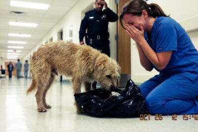 I thought my shift at Mercer General in New Jersey would be routine until this happened.