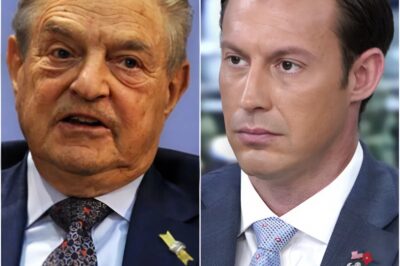 MOB WAR: New ‘Nuclear’ Bill Targets Billionaire’s Secret Cash, Seizing Accounts Overnight by Classifying Protest Funding as Mafia-Style Organized Crime