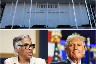 Democratic Representative Joyce Beatty Initiatives Legal Action to Remove Trump Name from Kennedy Center Facade