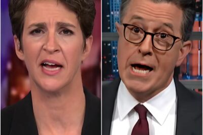 Rachel Maddow’s Silent Rebellion: The “Unfiltered” Folder and the Dawn Elevator Ride That Left MSNBC in Absolute Shock!