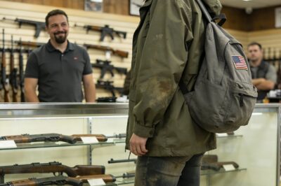 THE SHADOW OF THE VIPER