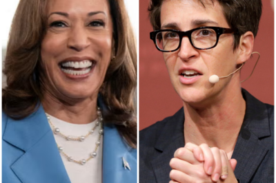 Rachel Maddow Expresses Regret Over Kamala Harris Interview, Wished She Had Pushed for More Candor