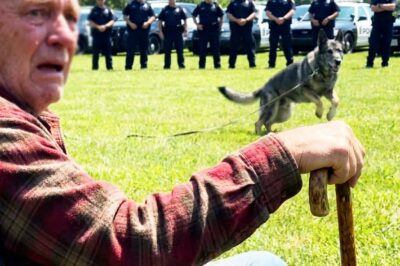 My heart stopped when my retired K9 suddenly broke formation at a ceremony in Columbus, Ohio.