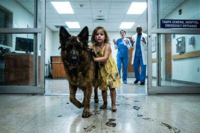 My heart stopped when this German Shepherd burst into our Tampa ER carrying a dying little girl.