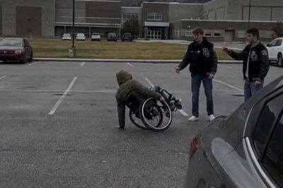 The Stallion of Thunder Ridge: How a Paralyzed Girl and a Wild Mustang Taught a Small Montana Town the True Meaning of Justice, Courage, and Retribution