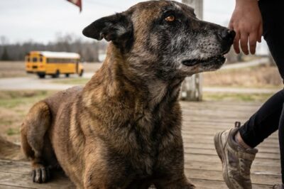 They Saw A Little Girl Alone. They Didn’t See The Beast Watching From The Shadows. A Heart-Stopping Tale Of A Father’s Love From Beyond The Grave.