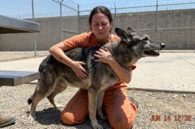 My final request before my execution in Huntsville, Texas, left every prison guard in total silence.