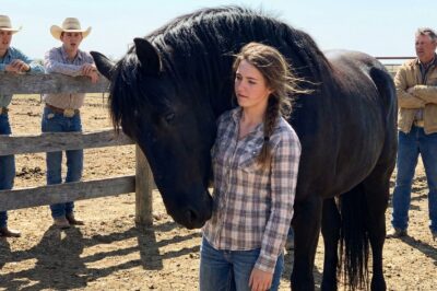 My Father Was Ashamed of Me on Our Texas Ranch Until the Beast No Man Could Tame Chose Me to Save Us All