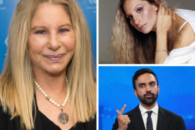 Barbra Streisand’s NYC Tour Cancellation Triggers Major Economic ‘Shockwave’ Across Local Sectors