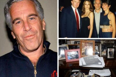 16 Epstein Files “Disappear” from U.S. Justice Department Records: Transparency or a Cover-Up?