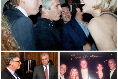 Explosive Epstein Photos Show Trump, Clinton & Andrew: Disturbing Images Expose a Secretive Dark World
