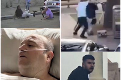 Dashcam Footage & Witnesses Confirms Elderly Couple Wrestled Rifle from Bondi Gunman Moments Before Tragedy Struck