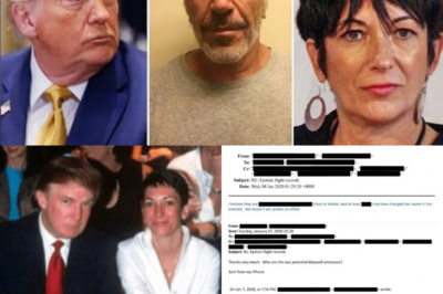 DOJ Emails Expose 10 Epstein Co-Conspirators as Scrutiny Intensifies Over President Donald Trump’s 8 Private Flights and “Buried” Evidence