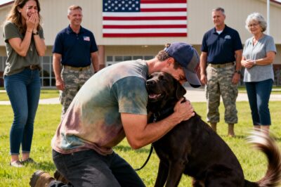 The Day My Hero Came Home: A War Veteran, a Service Dog, and the Heart – The Four-Year Nightmare of Silence and Betrayal.
