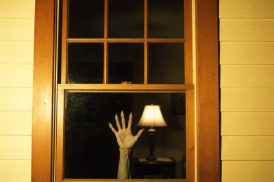 I shot a wolf three times at point-blank range, but it didn’t bleed, didn’t run, and didn’t die.