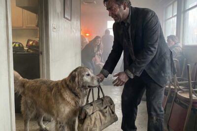 A Battered Leather Pouch and a Dying Dog Exposed a 40-Year Secret That Forced Me to Abandon My Life in Seattle to Save a Dying Pennsylvania Town