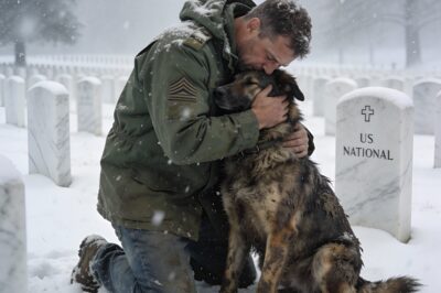 “I’m Done, Doc”: The Heartbreaking Moment a Veteran Broke Down in Virginia, and the 4-Legged Stranger Who Saved Him