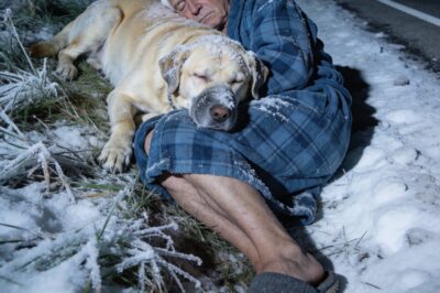 “The doctor asked what kind of heavy blanket had kept my husband alive in the -3°F snow. I looked down at the empty leash in my hand, choked back a sob, and whispered: ‘It wasn’t a what, Doctor. It was a who'”