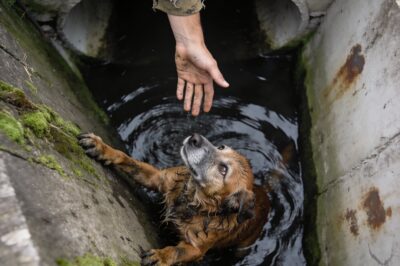 A literal chain of strangers holding onto hope.  We risked falling in to pull him out, but the hardest part wasn’t the rescue—it was getting him to look at us without fear.