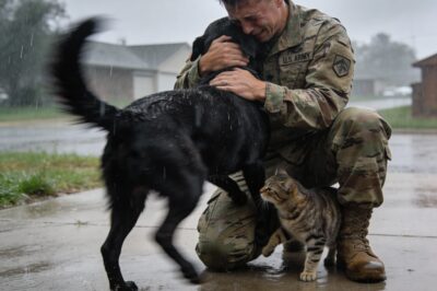 They don’t understand “deployment.” They only know he’s gone. 🥀 Watch the heartbreaking moment a dog who had given up on life smells her daddy’s jacket again.