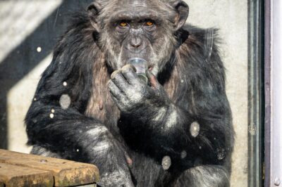 For 20 years he sat on concrete waiting for someone to understand his sign language, until one hot afternoon when our eyes finally met and I promised him I wouldn’t look away