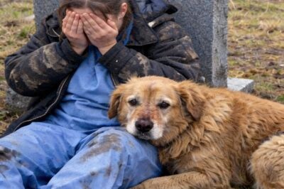 I Spend My Sunday Mornings Begging a Cold Slab of Granite in a Pennsylvania Cemetery to Tell Me I’m Still a Little Girl—Until a Guardian I Never Expected Emerged From the Shadows to Hold the Line.