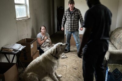 A Dying Dog’s Final Prescription Led Me To A Desperate Stranger’s Doorstep In Chicago—What I Discovered Inside Changed Everything I Thought I Knew About…