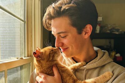 “Get rid of the cat or get out!” My landlord screamed, but I couldn’t abandon the only friend I had left in this lonely city