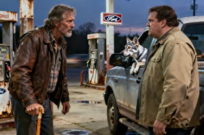 The Last Sentry of a Forgotten War Finds His Final Watch in the Eyes of a Discarded Life, Proving Even the Broken Can Stand Guard Over Hope.