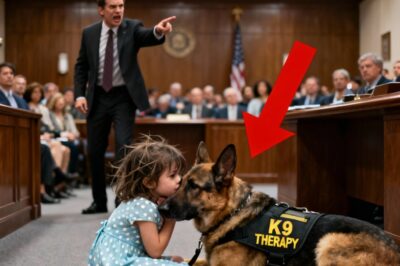 “They Said She Was Too Young To Remember The Att*ck But A Therapy Dog Unlocked A Truth No One Saw Coming. “
