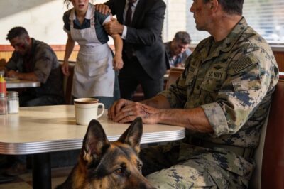 The Thug Hurt The Waitress, Unaware A Navy SEAL And His Dog Were Watching