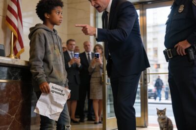 The Million-Dollar Hoodie