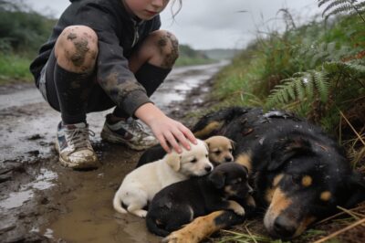 He was a man of duty, but his silent daughter taught him the greatest legacy is not what you own—it is the courage to care.