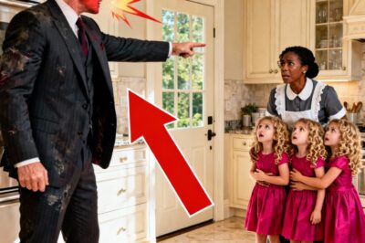 I came home unannounced to surprise my silent daughters but what I found in the kitchen forced me to fire the only woman who ever helped us.