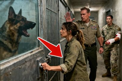 Security should have arrested me the moment I stepped into the restricted zone, but they were too paralyzed by fear of the beast behind the glass to stop me.