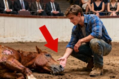 Everyone called him garbage and told me to save my money, but I knew this horse was worth more than their luxury cars.