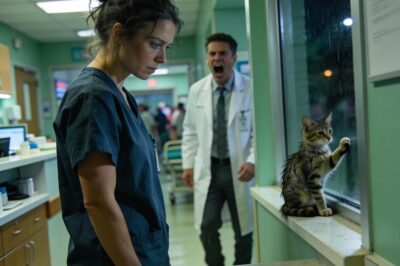 They Called Me “The Mouse” Until The Black Hawk Landed For Me