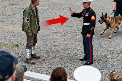 They Were Seconds Away From Ending the Animal’s Life Until a Homeless Man in Rags Jumped the Fence and Whispered a Secret Code.