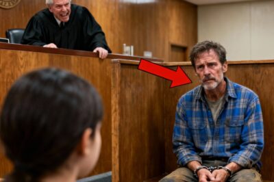 ” The Judge Asked The Single Dad’s Call Sign as a Joke — Then ‘Shadow Hawk’ Ended His Career”