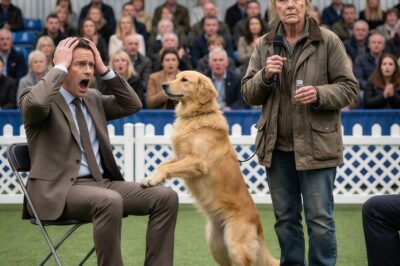 They thought it was a joke. When I pulled my rusted truck next to their shiny trailers, I could hear the snickering. They looked at my graying hair, my worn-out jeans, and my scarred dog, Ash, like we were trash blowing across their pristine parking lot. Victor Hale, the man who runs this town, smiled that cruel, pitying smile from the VIP section. He invited us here to humiliate me, to show the world that a broken old veteran and a “mutt” didn’t belong. He thought I’d crumble. He thought Ash would cower. But he forgot one thing: you don’t corner a survivor. And he certainly didn’t know what Ash was about to do.