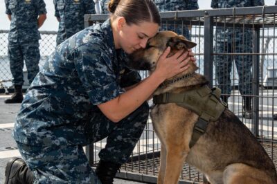 The hangar went dead silent. Fifty combat-hardened operators stopped talking as the side door opened. It wasn’t brass; it was an eleven-year-old girl, drowning in a Navy NSW hoodie three sizes too big. Her face was too old for her years, and she walked in like she owned the place. Even the war dogs in the kennels froze.