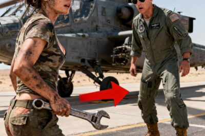 She Was Just Loading the Apache’s Ammo — Until the Pilot Saw the Classified Tattoo and Froze
